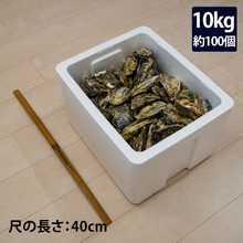 画像をギャラリービューアに読み込む, 殻付き牡蠣 : 10kg