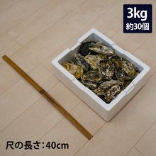 画像をギャラリービューアに読み込む, 殻付き牡蠣 : 3kg